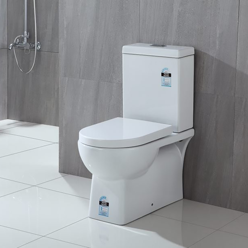 Zeena Back-to-Wall Toilet Suite